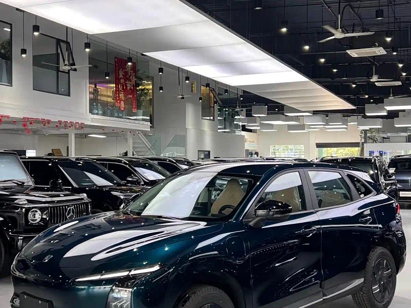 xinghai t5