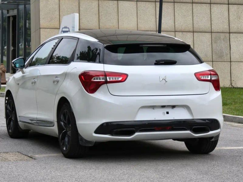 Ds 5