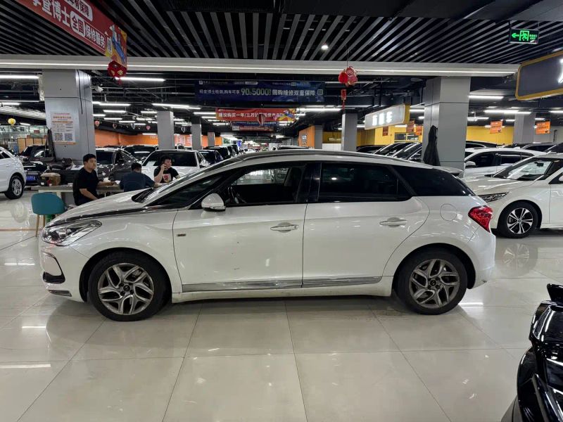 Ds 5