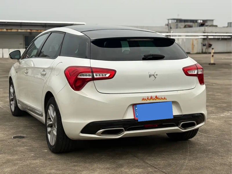 Ds 5