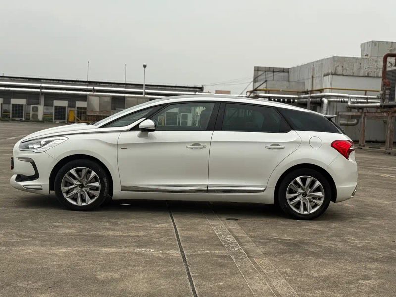 Ds 5