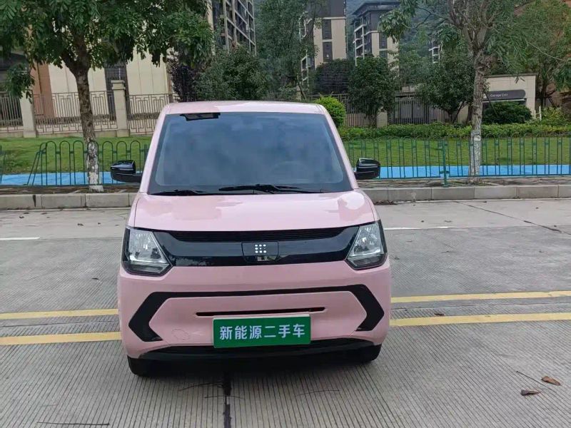 fengguang miniev