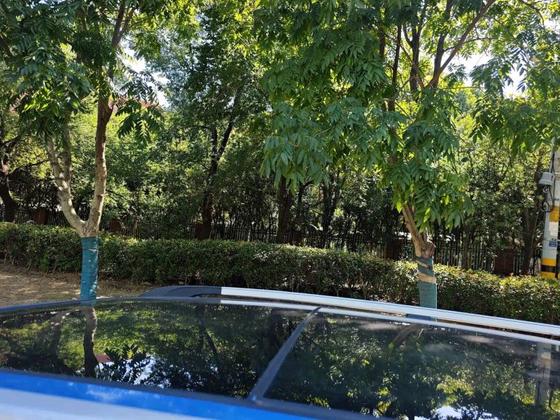 fengguang s560