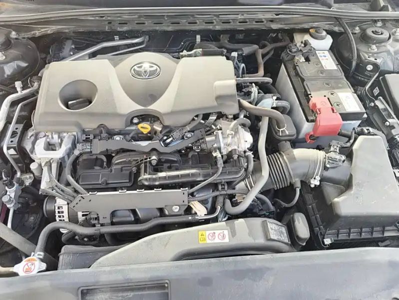alphard camry