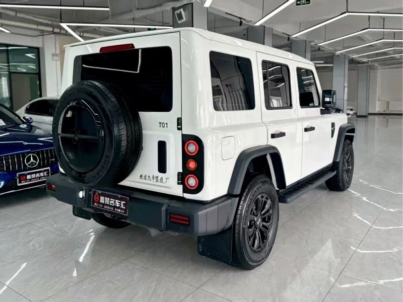 changfeng t01
