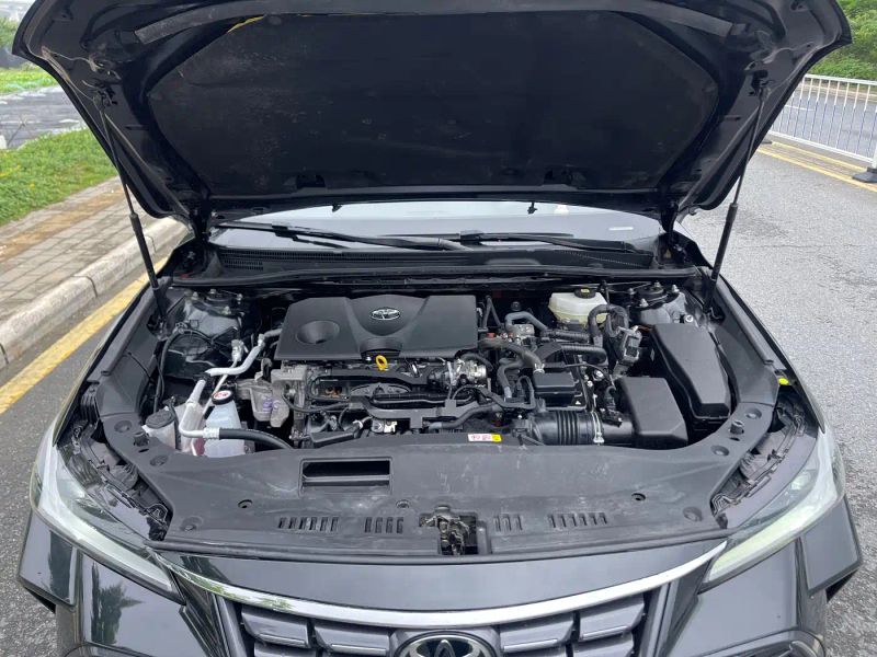 alphard avalon