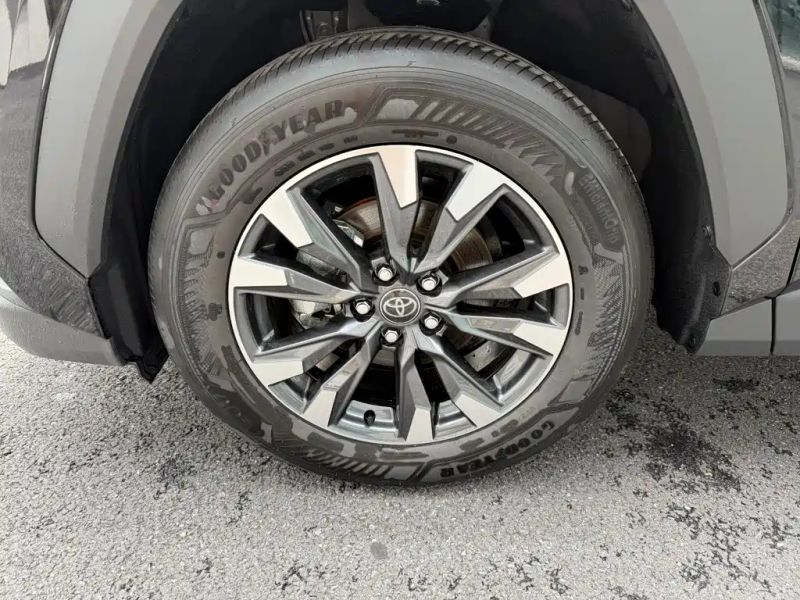 alphard rongfang