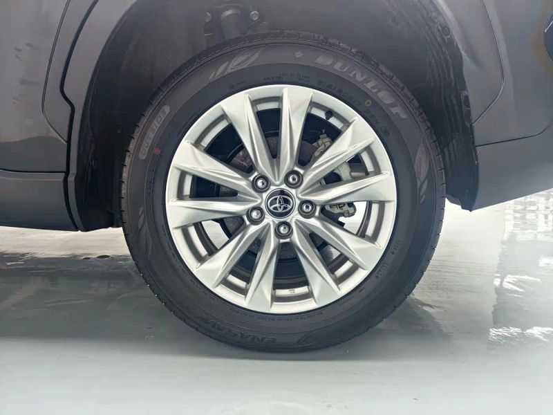 alphard ruifang
