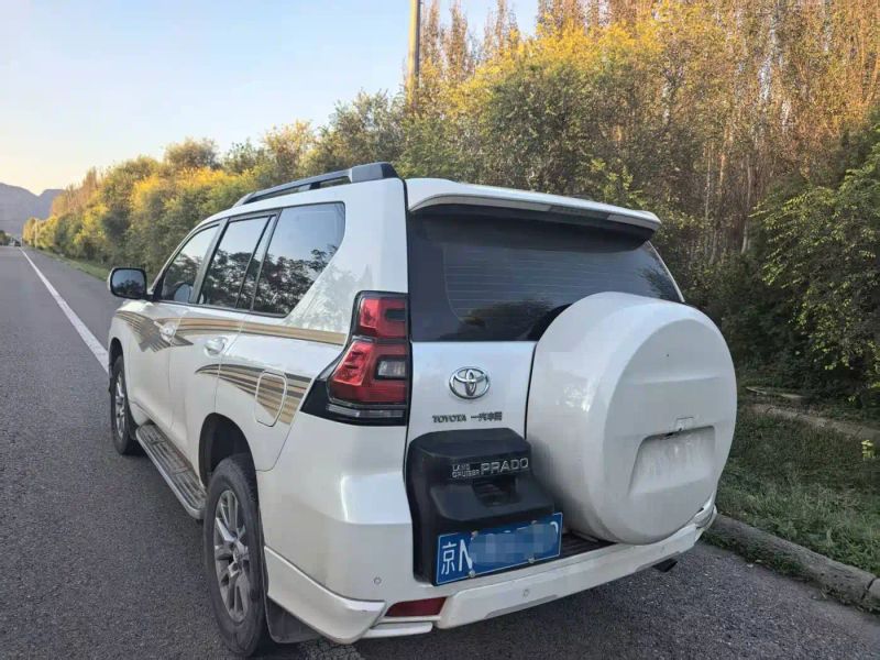 alphard prado