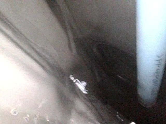 alphard alphard