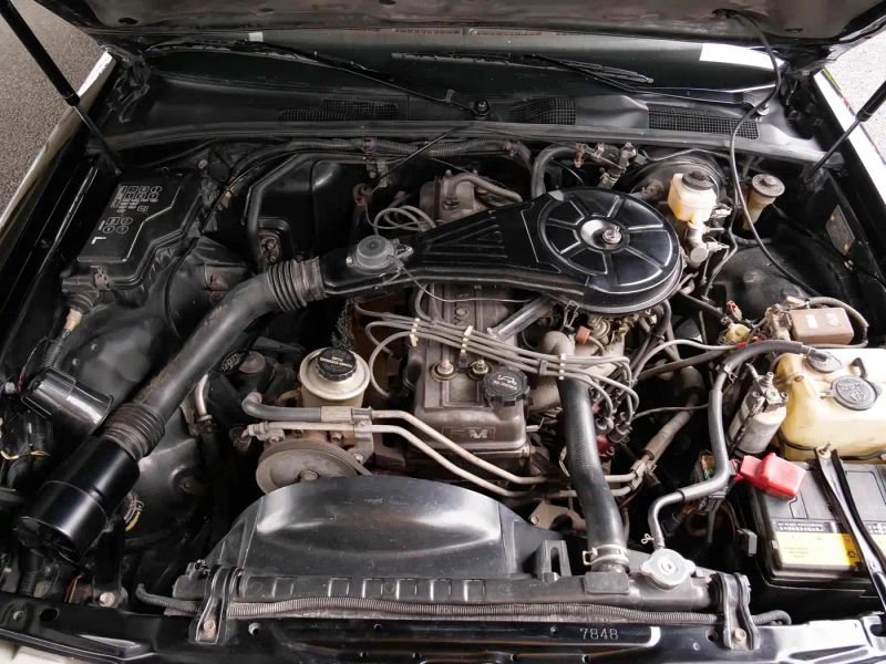 alphard crown