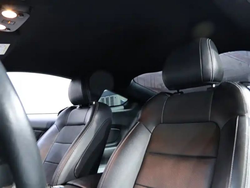mondeo mustang