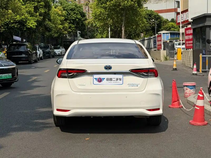 alphard corolla
