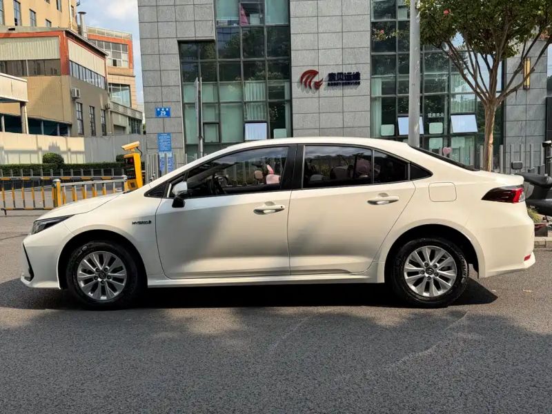 alphard corolla