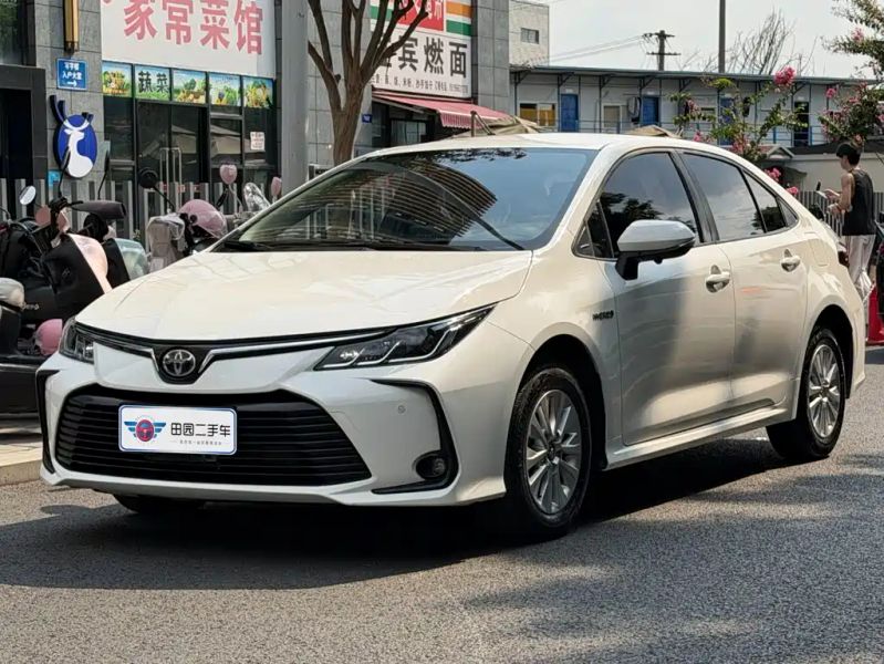 alphard corolla