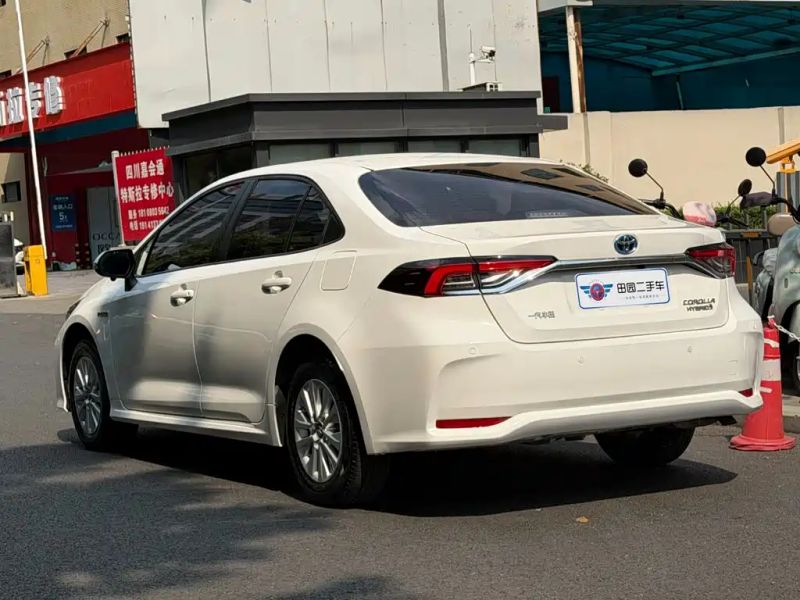 alphard corolla