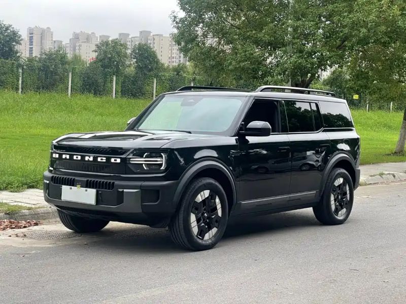 mondeo bronco