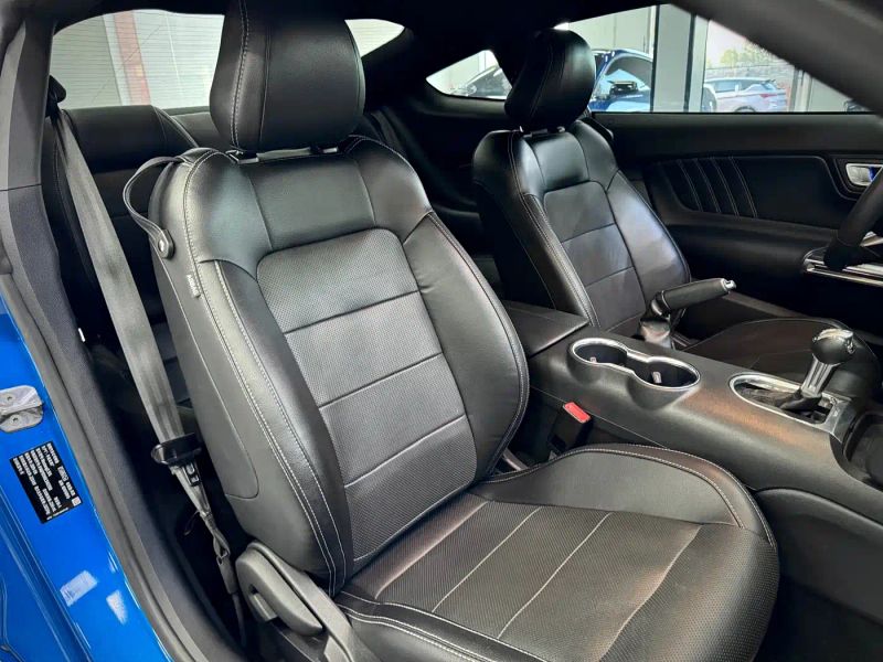mondeo mustang