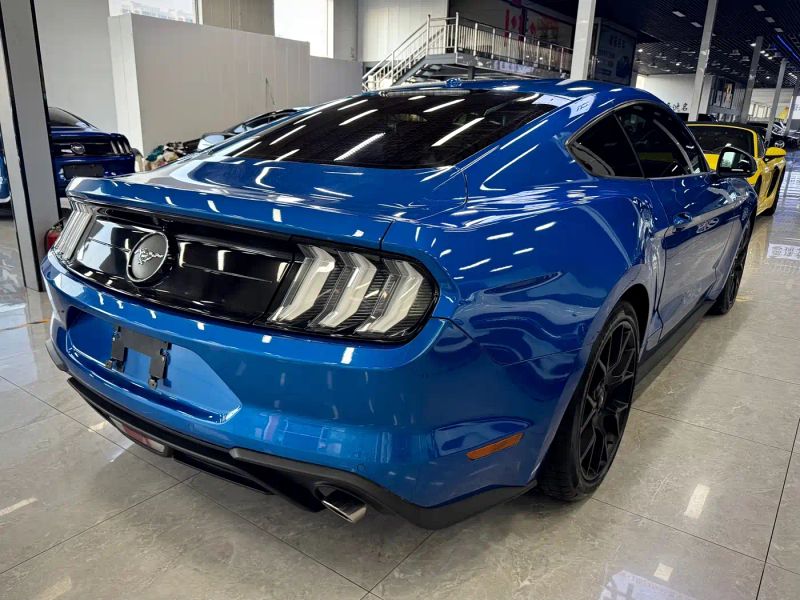 mondeo mustang