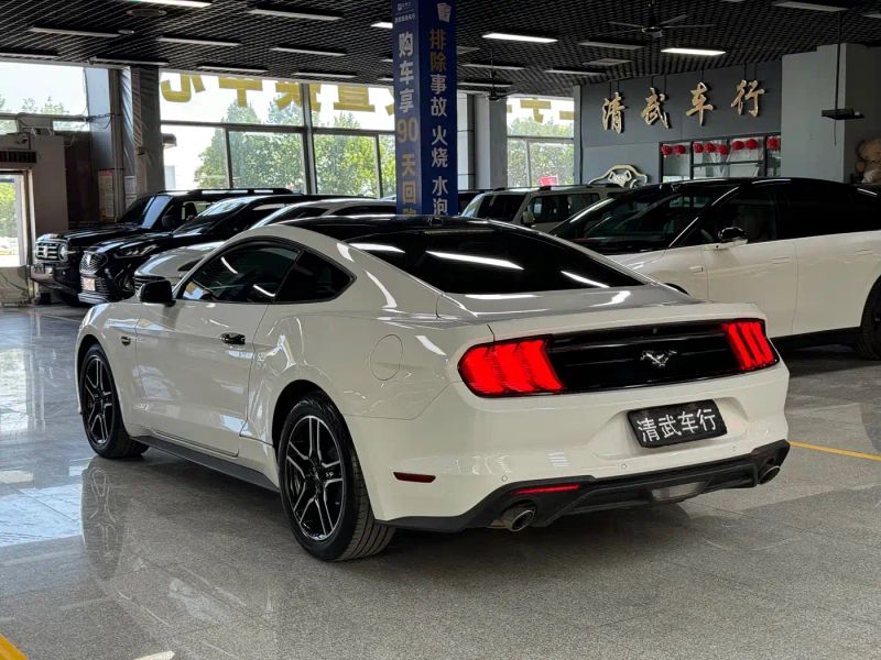 mondeo mustang