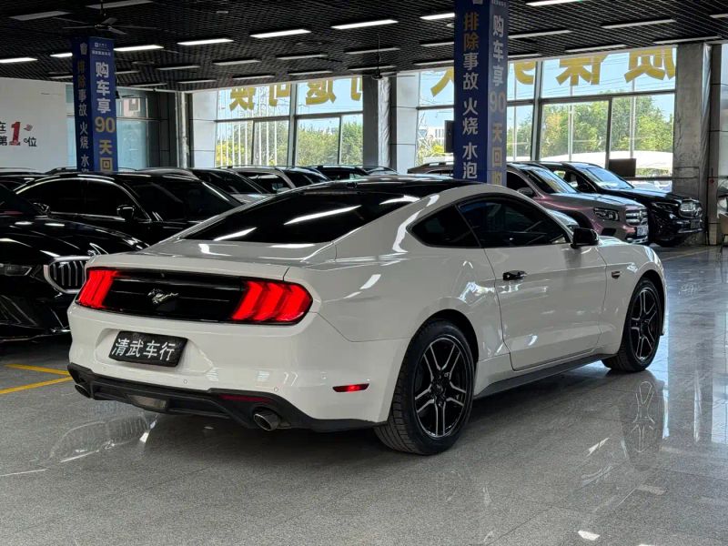mondeo mustang