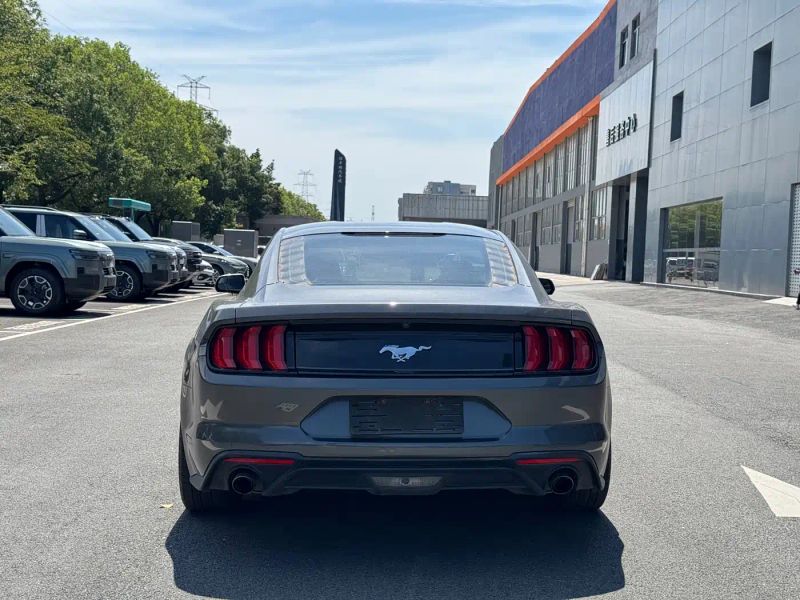 mondeo mustang