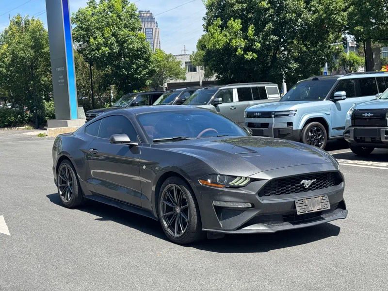 mondeo mustang