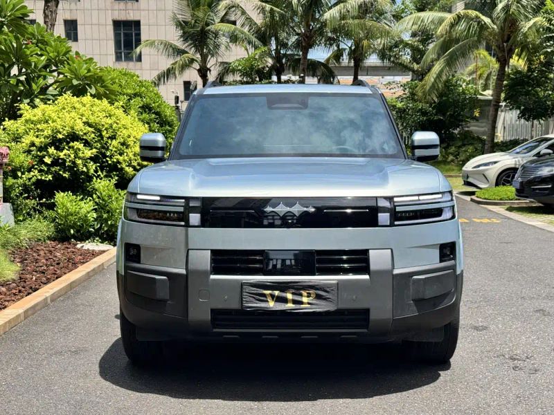 tiqi seven