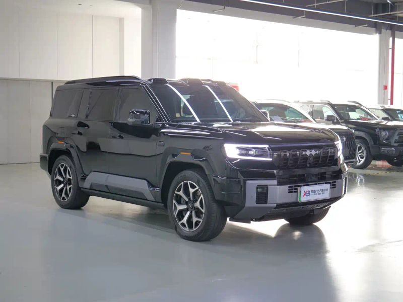 tiqi 豹8