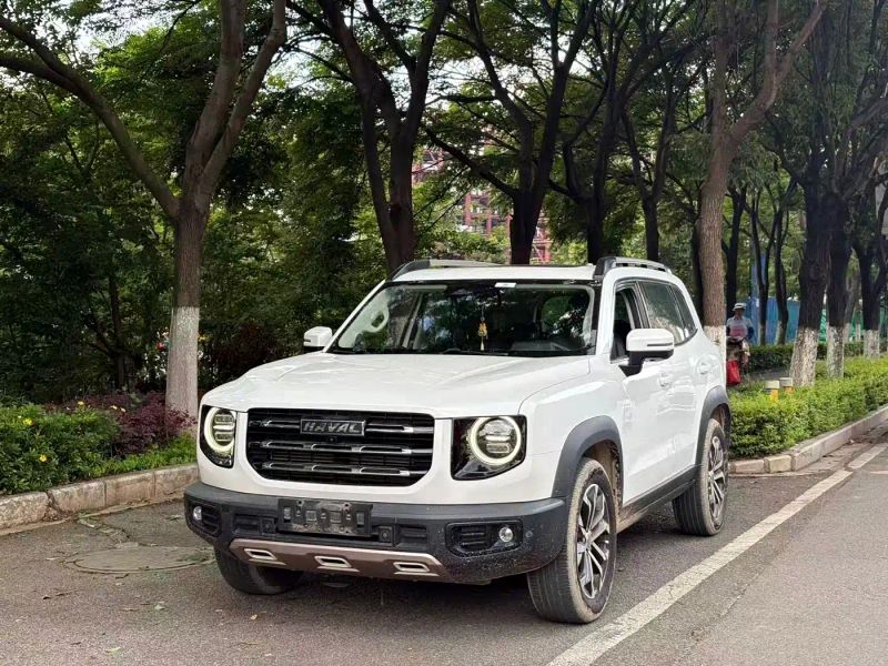 Haval bigdog