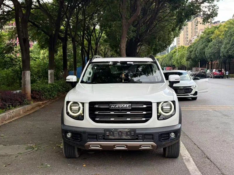 Haval bigdog