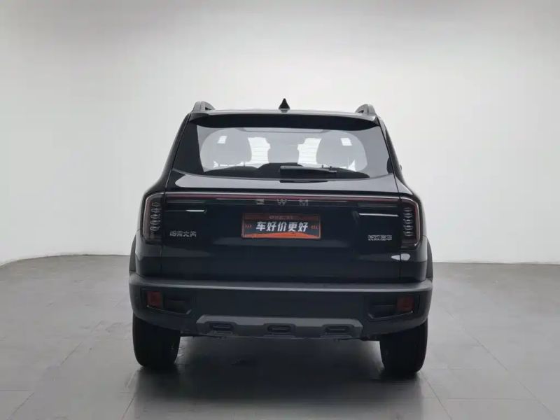 Haval bigdog
