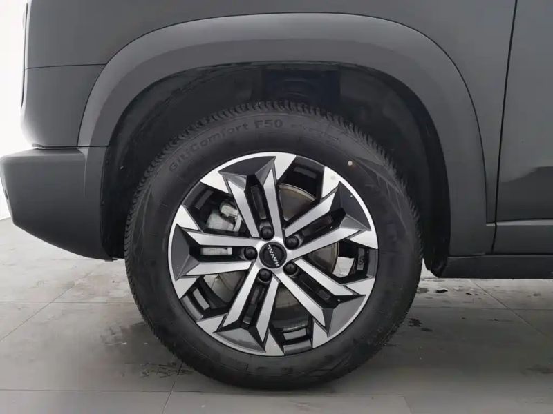 Haval bigdog