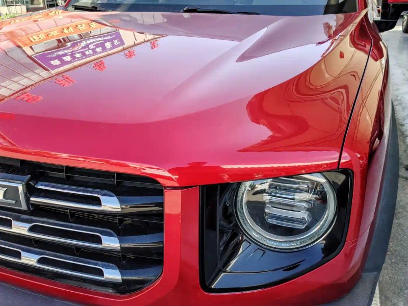 Haval bigdog