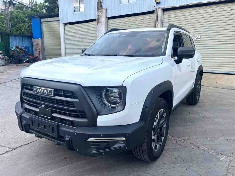 Haval bigdog