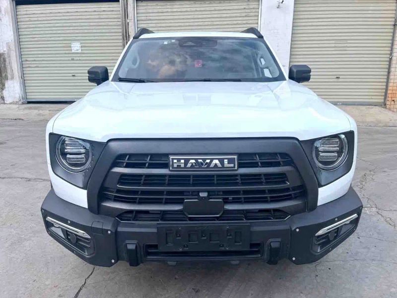Haval bigdog