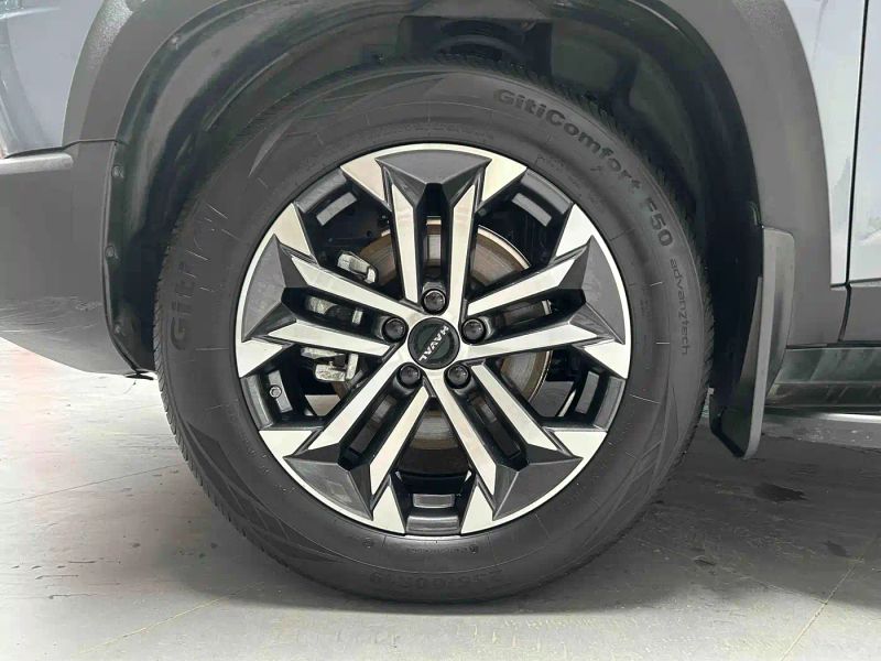 Haval bigdog