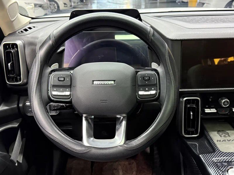 Haval bigdog