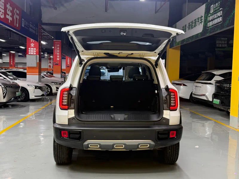 Haval bigdog
