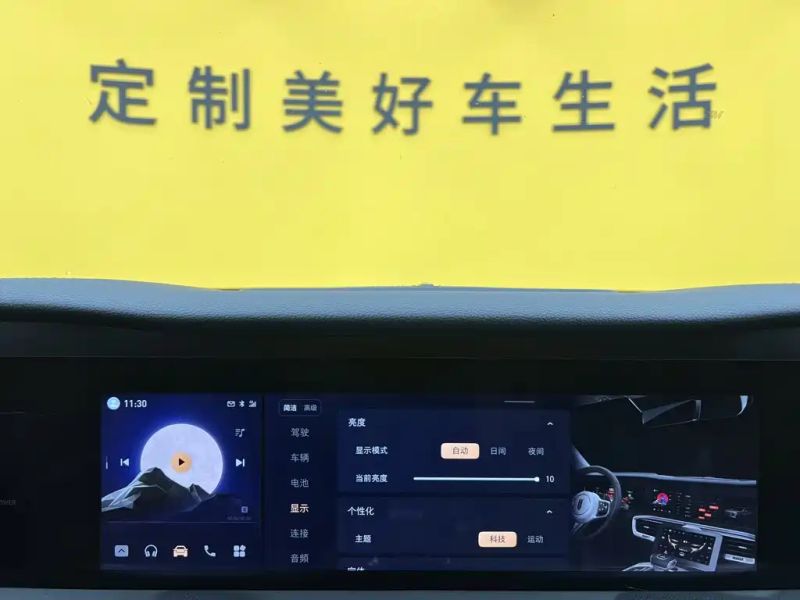 Hongqi ehs9