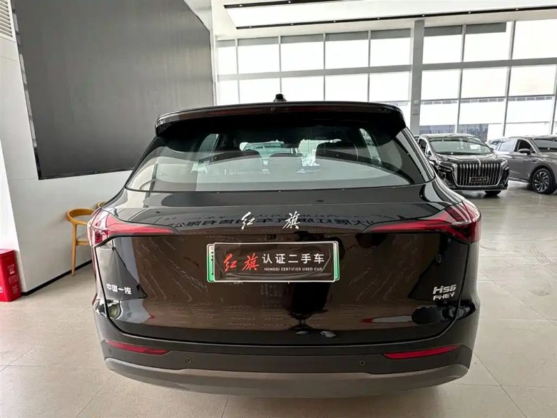 Hongqi hs