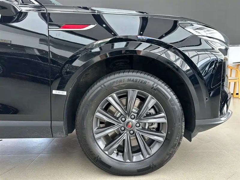 Hongqi hs