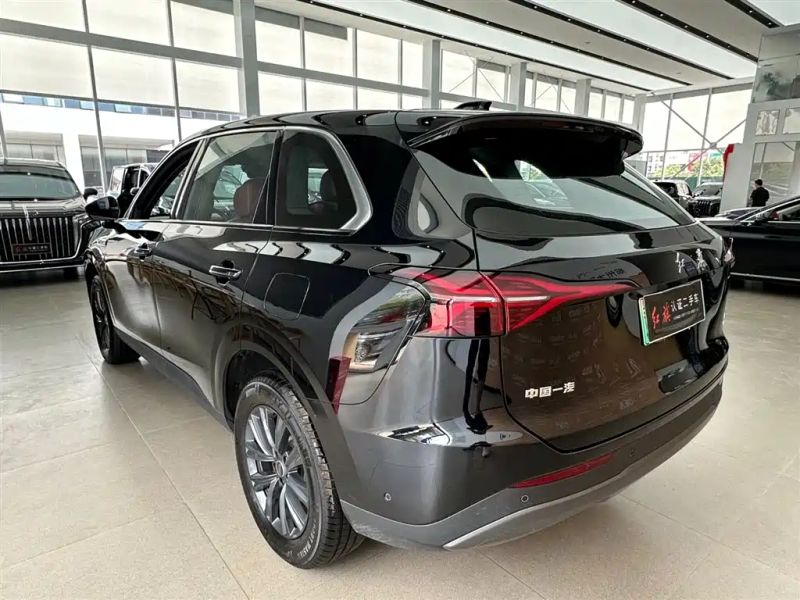 Hongqi hs