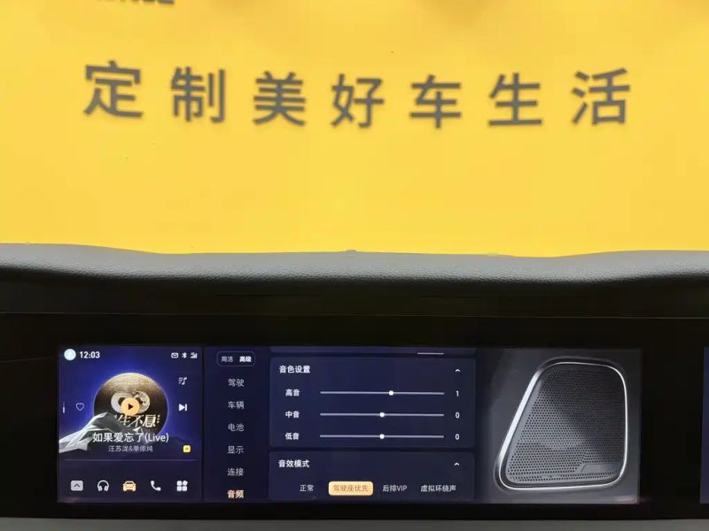 Hongqi ehs9