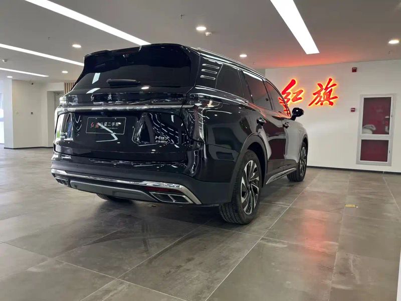 Hongqi hs
