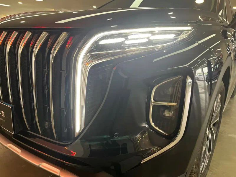 Hongqi hs