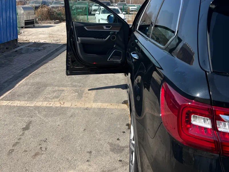 Hongqi hs