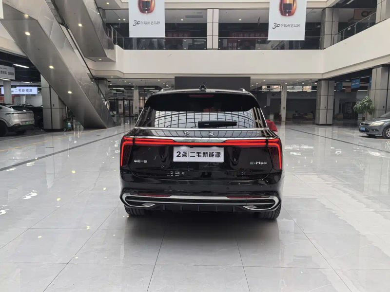 Hongqi ehs9