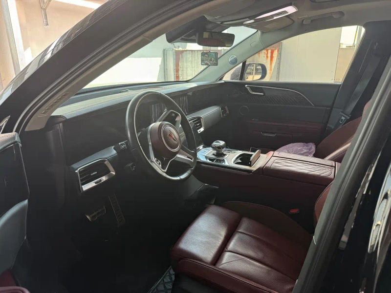 Hongqi ehs9