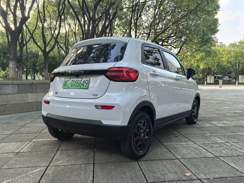 lingpao t03